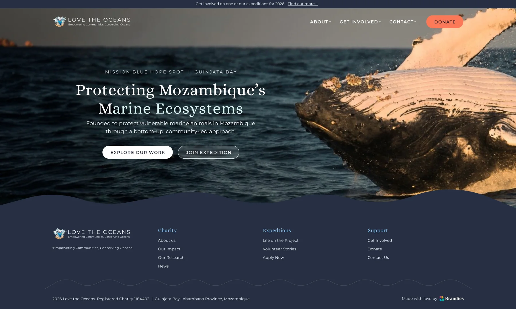The Love the Oceans website we designed